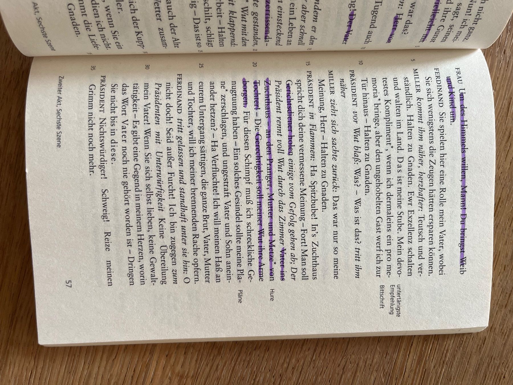Bücher: Friedrich Schiller - Kabale und Liebe – Gebraucht aus Laupen BE von lee_ym6v 6