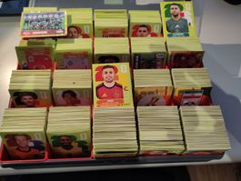 Panini WM 2026 Sammelbilder