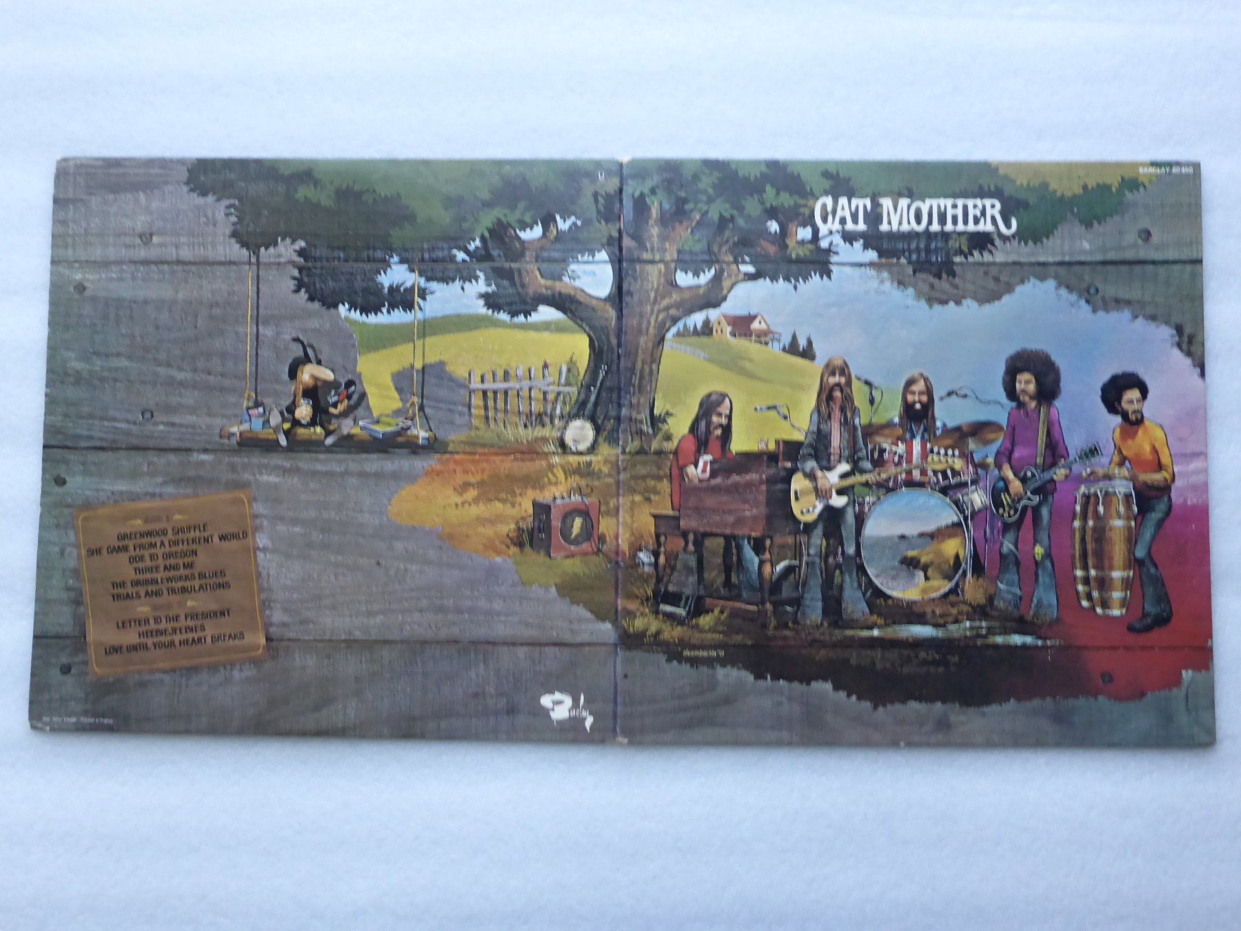 Dischi in vinile: VINYL  LP CAT MOTHER – Usato da Küssnacht am Rigi venduto da Sunnestrahl