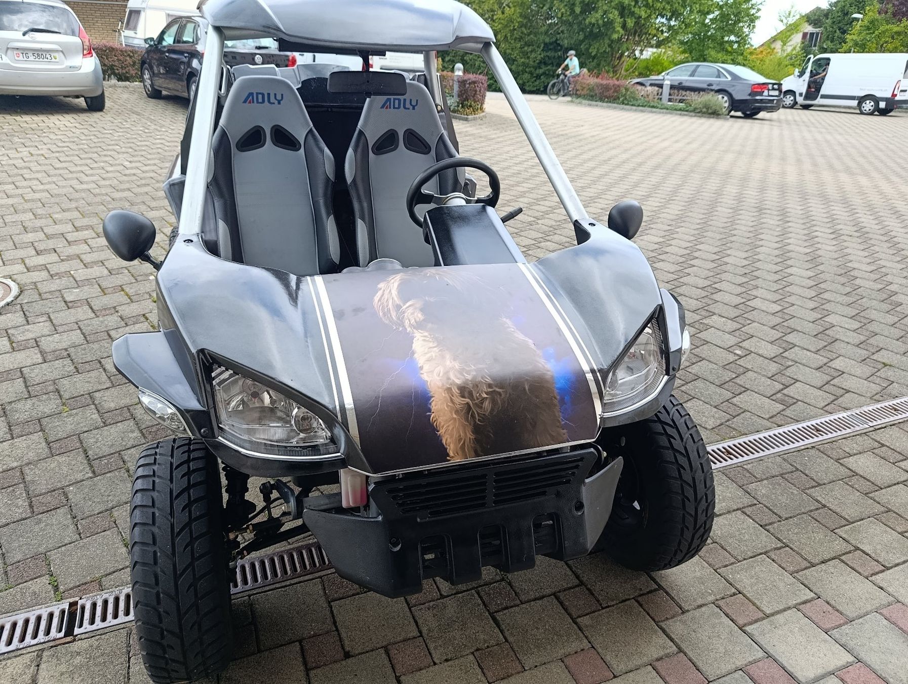 Adly ATVs / Quads: Adly MiniCar MK-320 - Buggy - UTV/ATV - Quad - ab MFK – Gebraucht aus Altnau von TG_78
