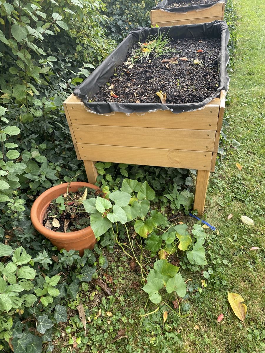 Auflagenboxen: Hochbeet – Gebraucht aus Brüttisellen von Guzzi010 1