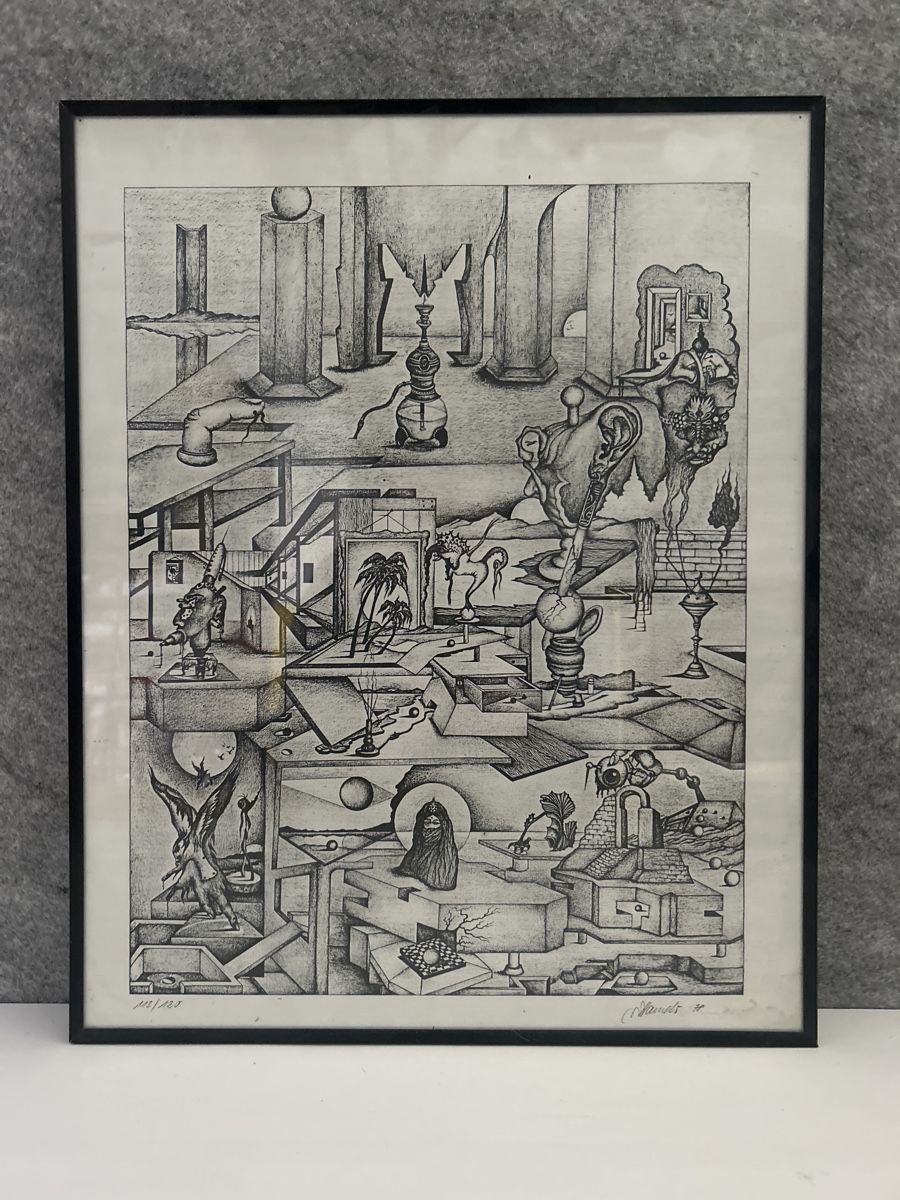 Grafica & Litografie: Surreale Grafik "Metamorphose", gerahmt – Usato da Glarus venduto da KunstWerkEr-LS87