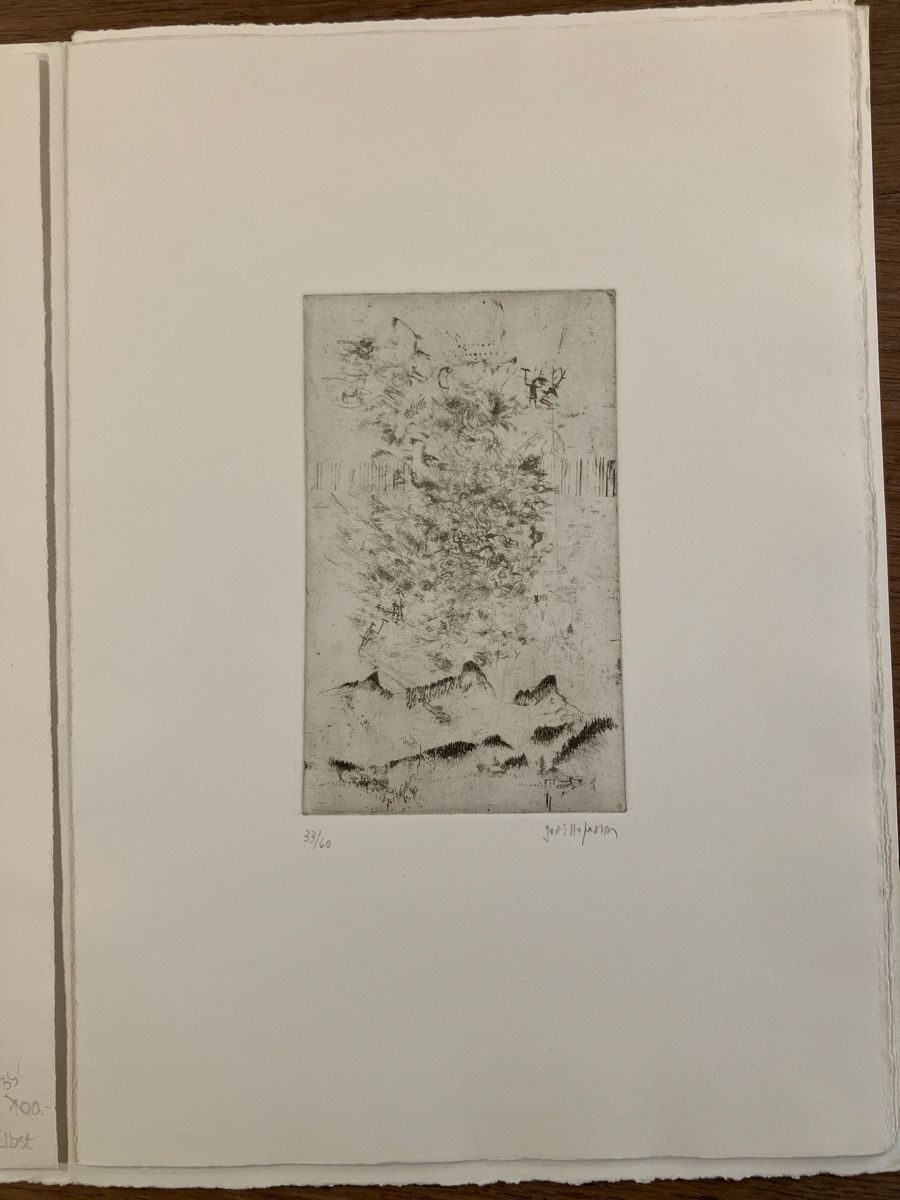 Incisioni: Godi HOFMANN - portfolio de 6 gravures – Usato da Lausanne venduto da Willandco 2
