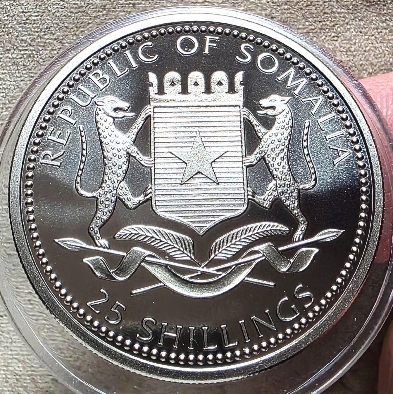 Tutti le monete: SOMALIEN 25 SHILLINGS 2000 UNZ. PROOF – Nuovo (secondo la descrizione) da Winterthur venduto da Creso70 1