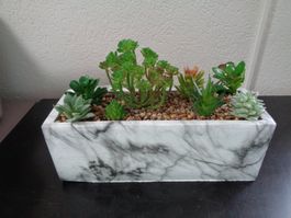 Künstl. Kaktus in Schale