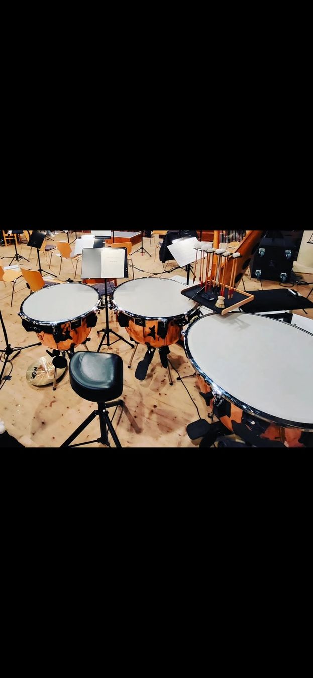 Strumenti musicali: 3 timbales à vendre – Usato da Lentigny venduto da Sylvain90