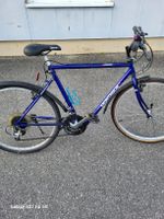 citybike 21 Gang,jugendvelo