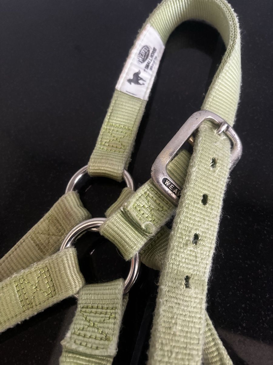 Brides, licols: Weaver Halfter Small Horse – D'occasion à Menzingen par JeKa84 2