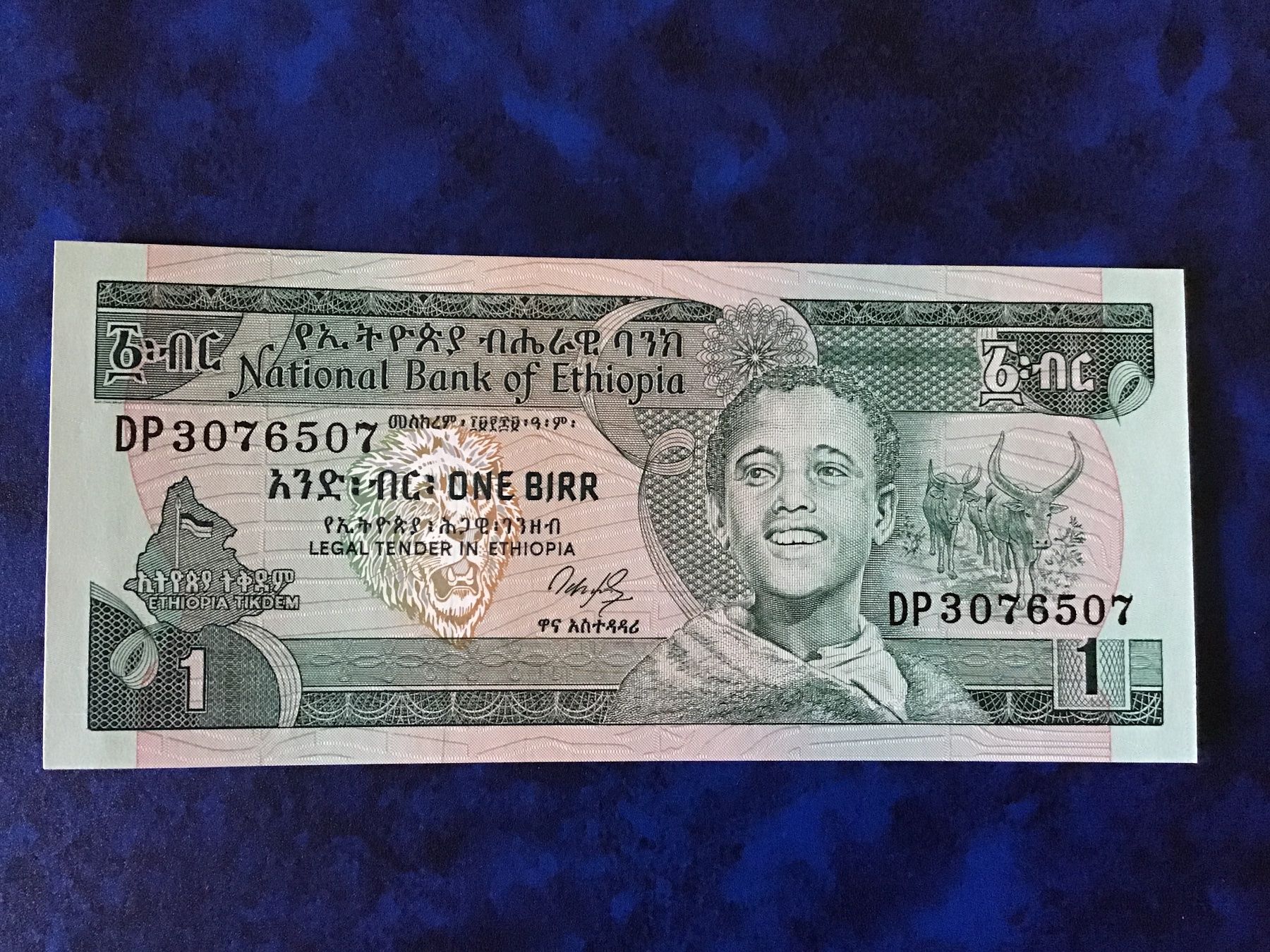 Banconote: Äthiopien 1 Birr Banknote – Nuovo (secondo la descrizione) da Urtenen-Schönbühl venduto da absolut08