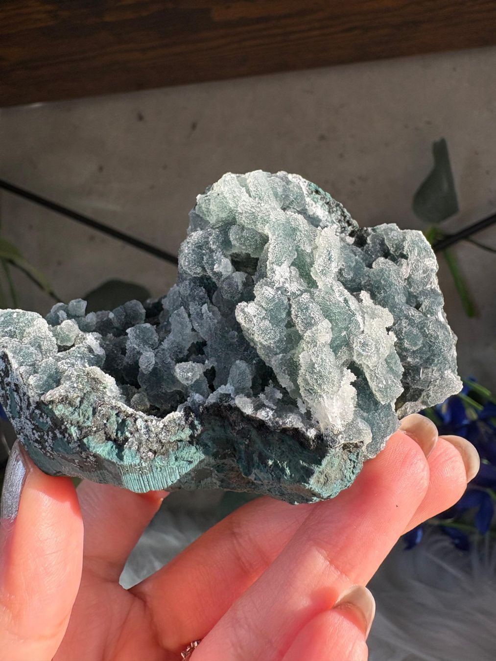 Minerali & Pietre curative: Grüner Chalcedon-Stalaktit – Nuovo (secondo la descrizione) da Neuheim venduto da m.hald 1