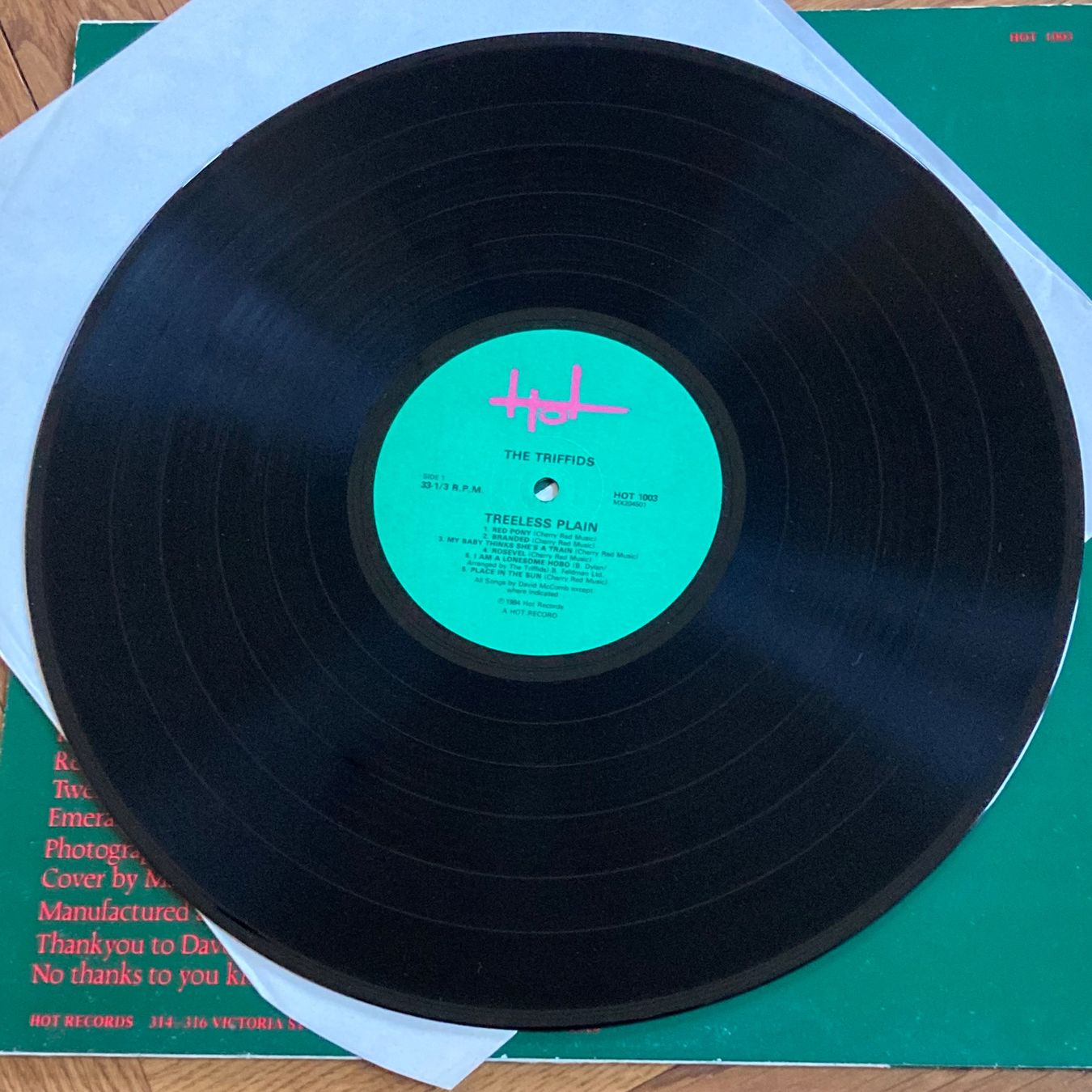 Schallplatten: The Triffids - Treeless Plain, LP – Gebraucht aus Bern von Ntsamina 2