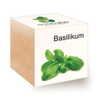 EcoCube Basilikum - Frische Kräuter für die Küche!