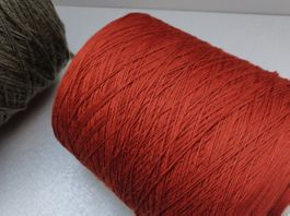 Cariaggi gekämmter Merino Stricken & Weben, Antilope 880g