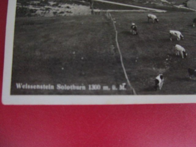Cartoline postali: alte AK: Weissenstein Solothurn - datiert 1937 – Usato da Luzern venduto da Horoskop1 1
