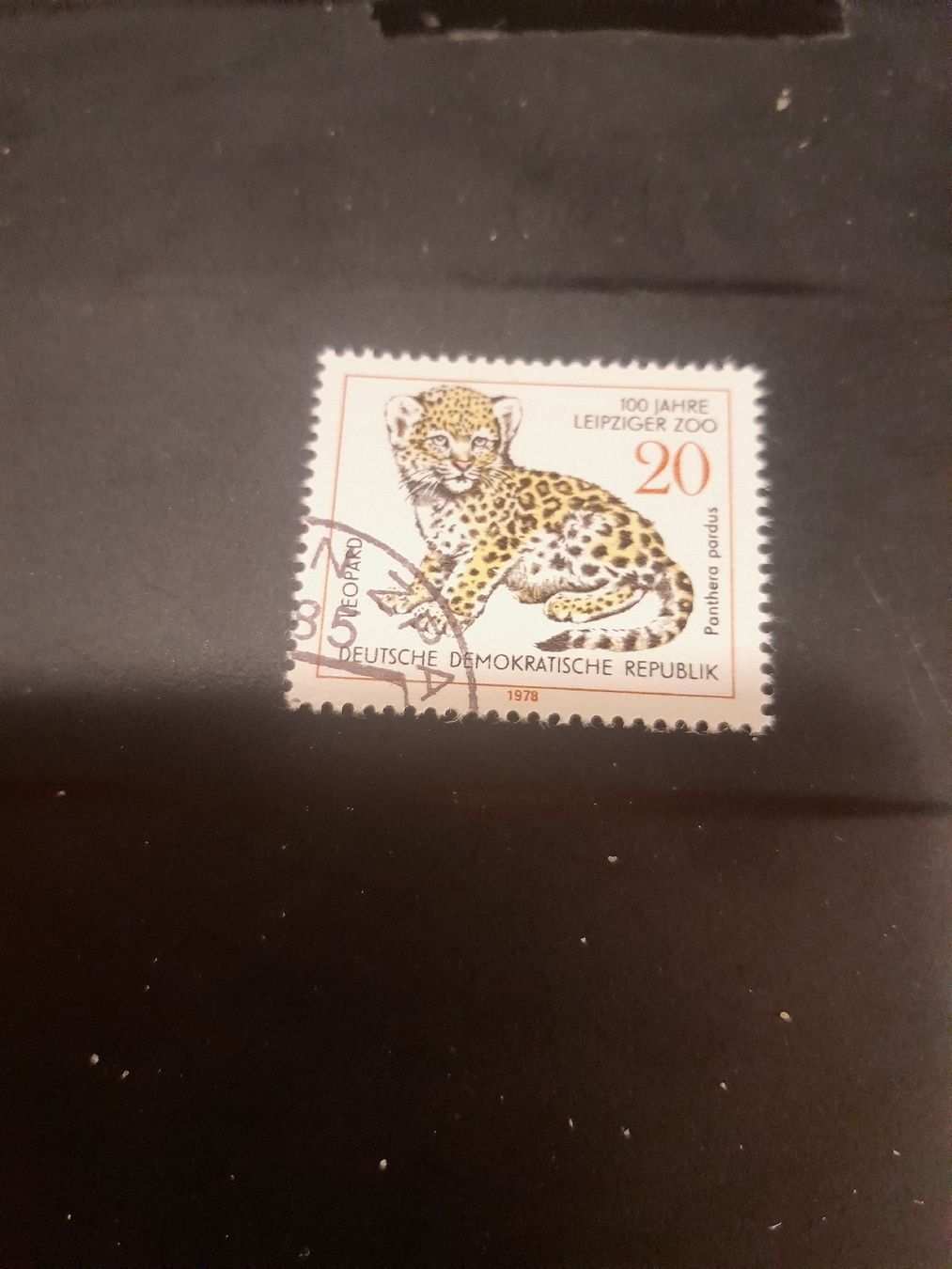 Tutti i francobolli: Timbre rare RDA 1978 - Léopard, zoo de Leipzig! – Usato da Marly venduto da globetrotter1723