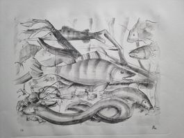 Robert Burkhard – Lithographie „FISCH“ – signiert bzw. monog