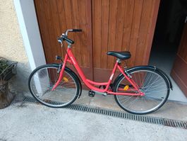 Fahrrad Frau