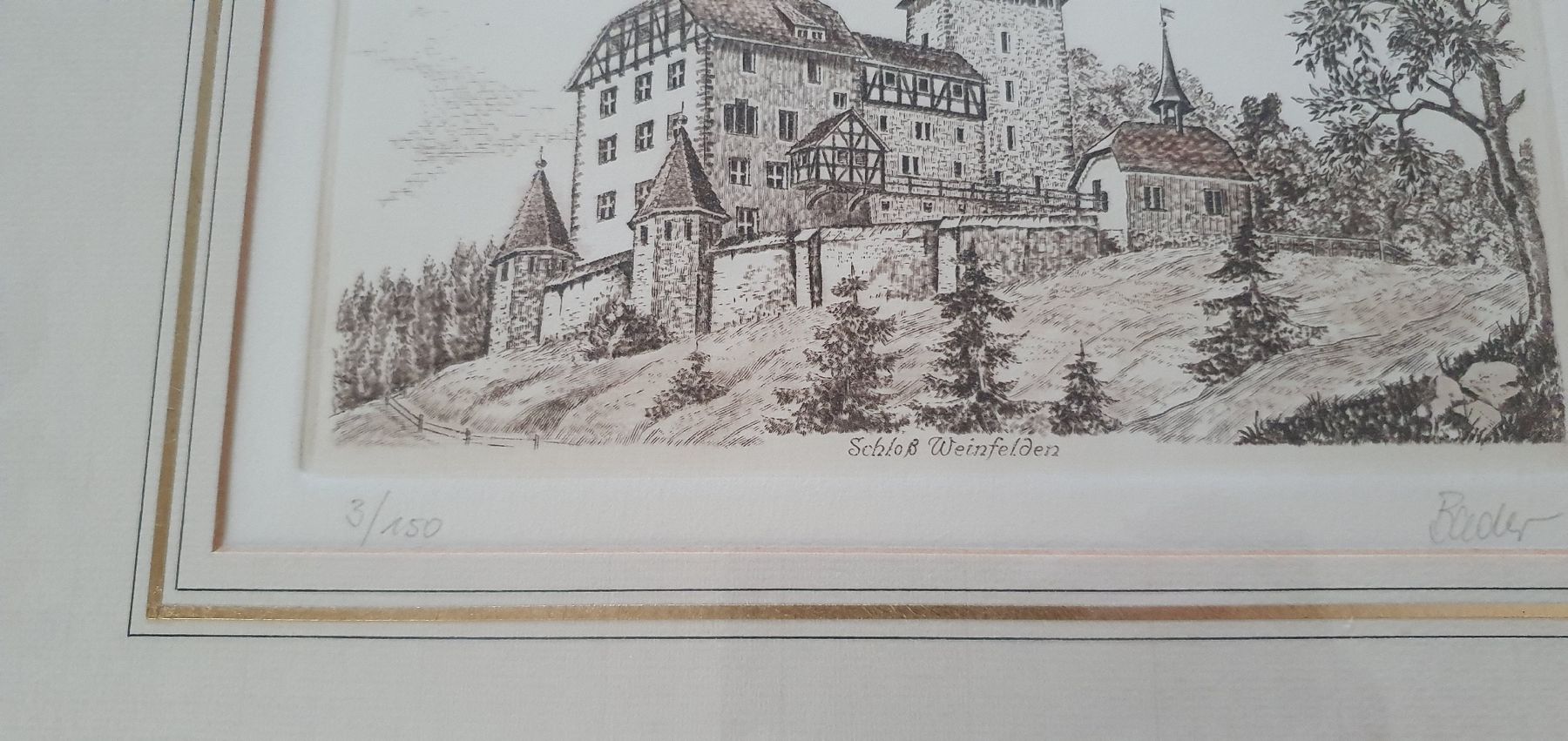 Stiche: Bild - Schloss Weinfelden,  Stahlstich – Gebraucht aus Kreuzlingen von Rschweiz1 1
