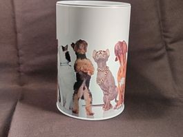 Blechbüchse, Kässeli, Hunde und Katzen