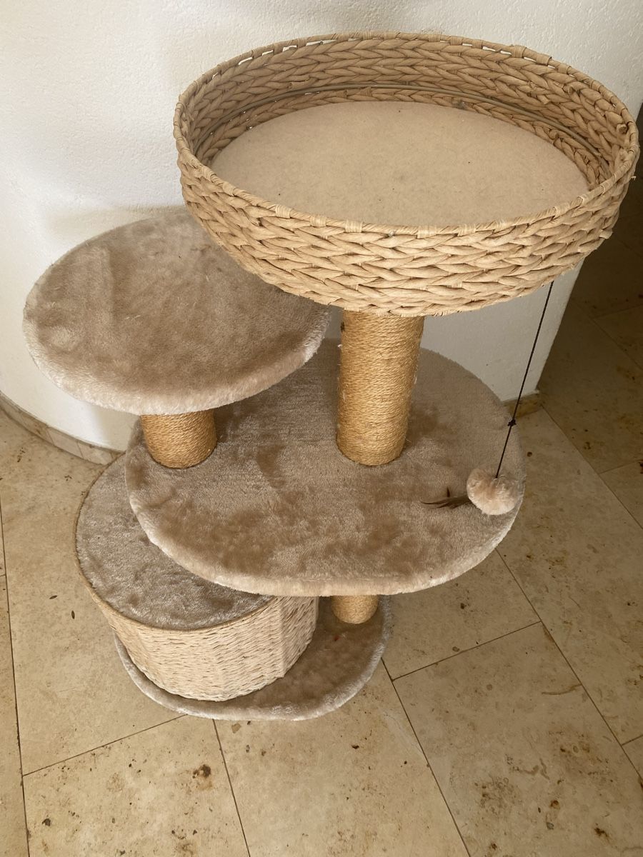 Tiragraffi: Katzenbaum – Usato da Brunnen venduto da NNinnello 2