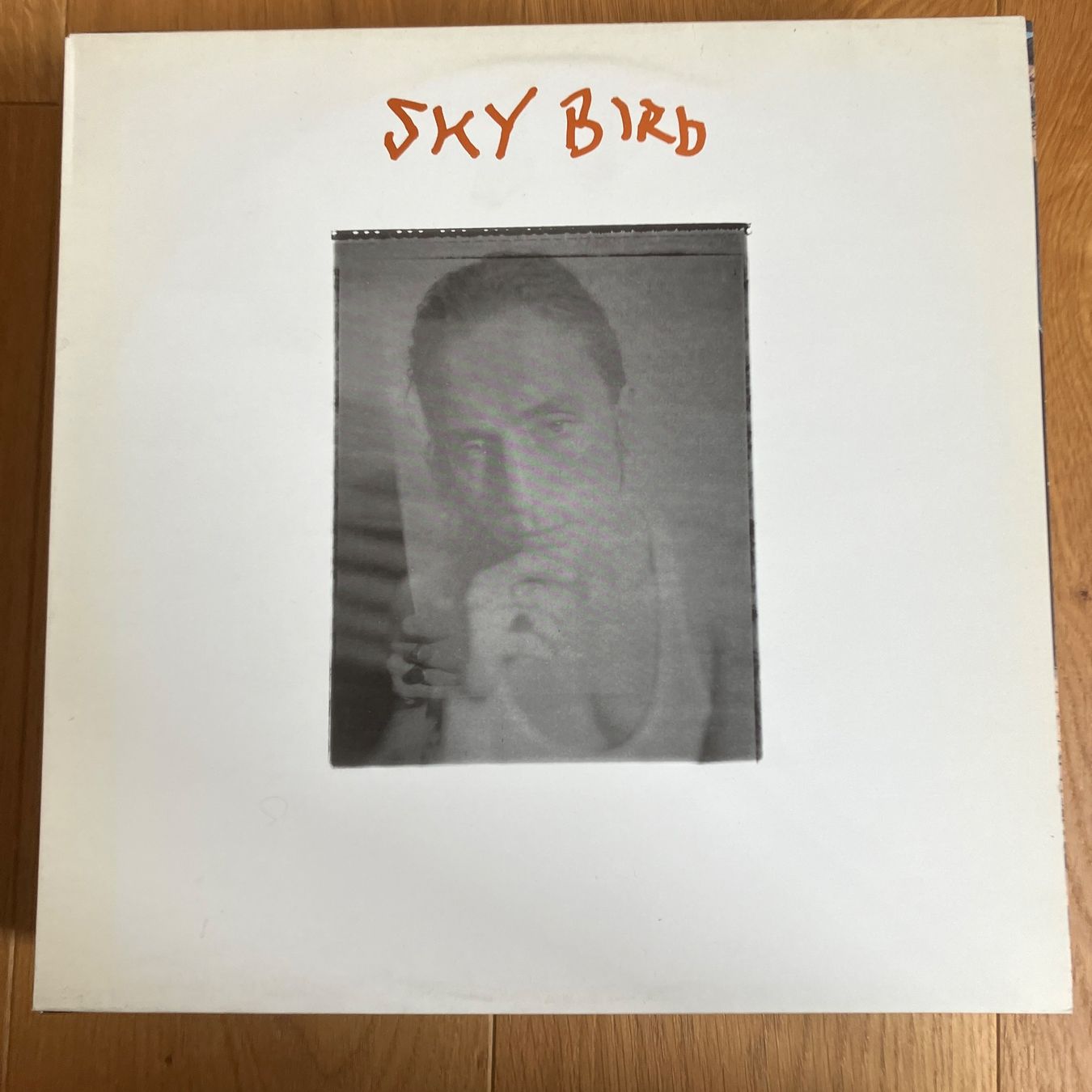 Schallplatten: Sky Bird – Sky Bird – Gebraucht aus Altdorf UR von Metallic0