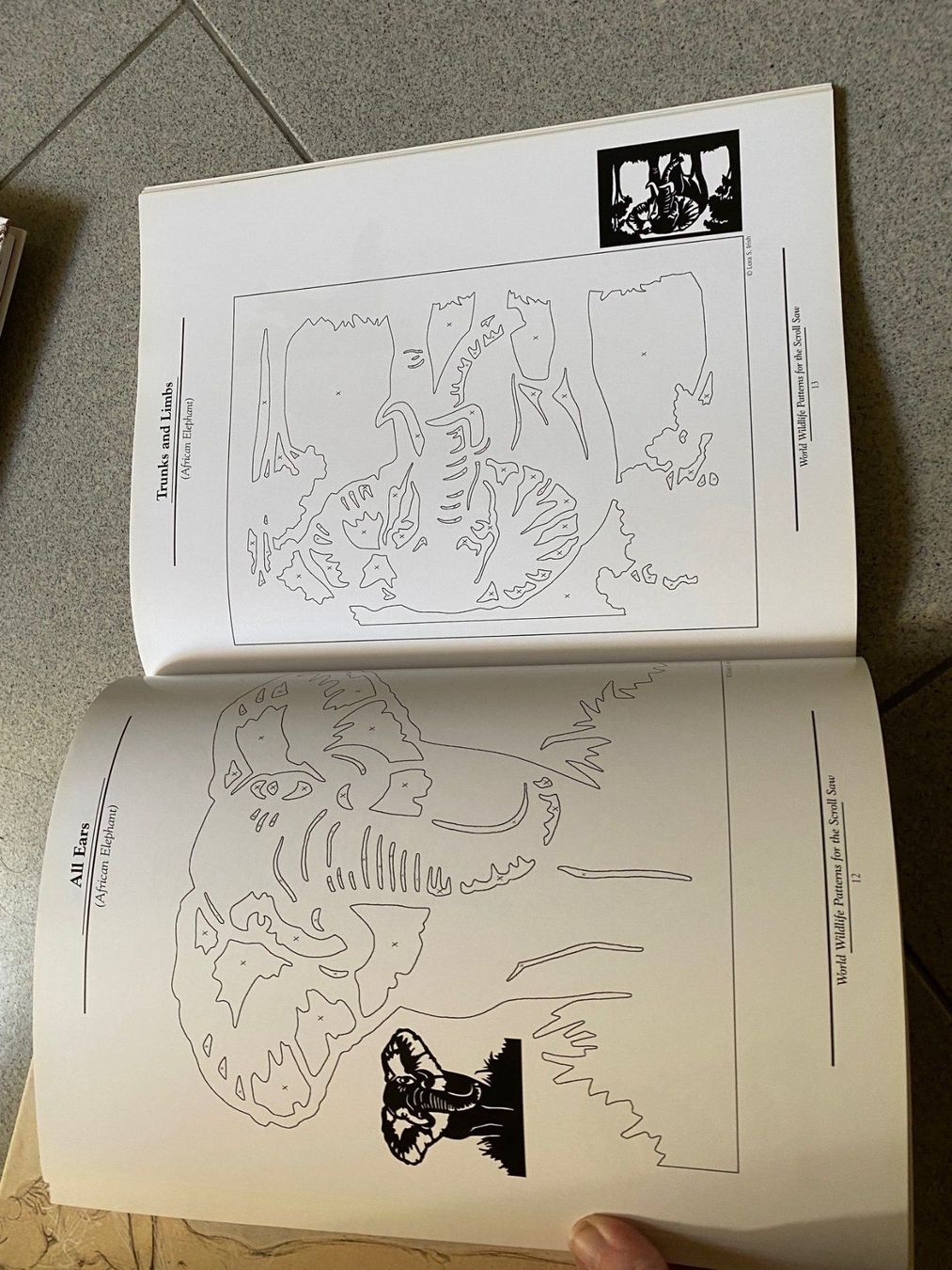 Libri: livre - modèles découpage bois – Nuovo (secondo la descrizione) da lossy venduto da katz_fr 1