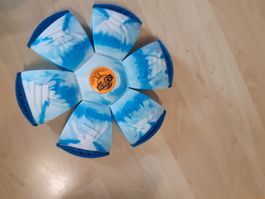Frisbee Ball