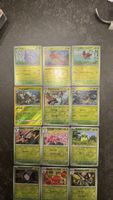 Pokemon Karten Kollektion 🌱 - Grün Edition, Alle Holo