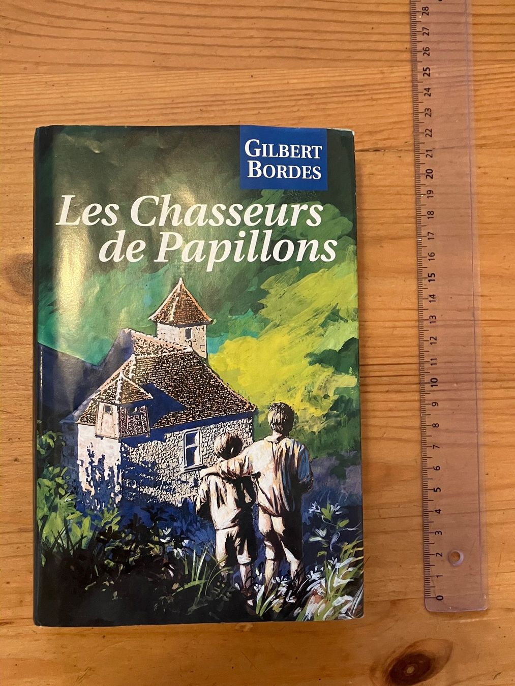 Libri: Les Chasseurs de Papillons (Gilbert Bordes) – Usato da Meyrin venduto da Julien333 4