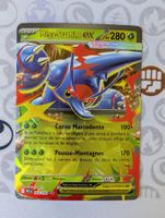 🇫🇷 Pokémon Méga-Scarhino ex Flammes Fantasmagoriques (PFL)