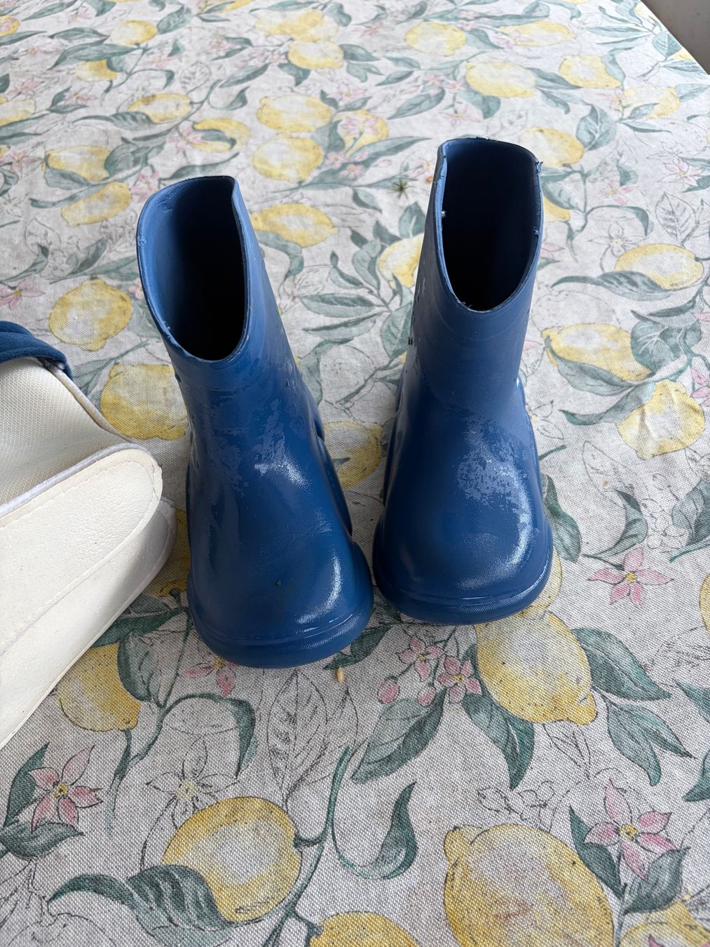 Scarpe per ragazzi: Gummistiefel 29 – Usato da Schlieren venduto da gor_jgx7