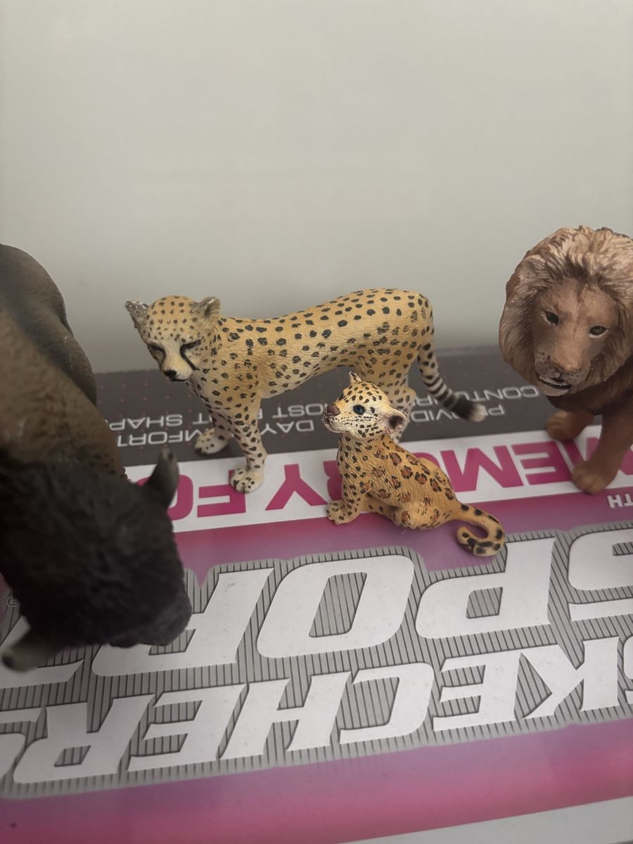 Schleich Statuette: Schleich Safari Tiere – Usato da Arbon venduto da Ursula_566 2