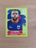 Panini Fifa CPV 6
