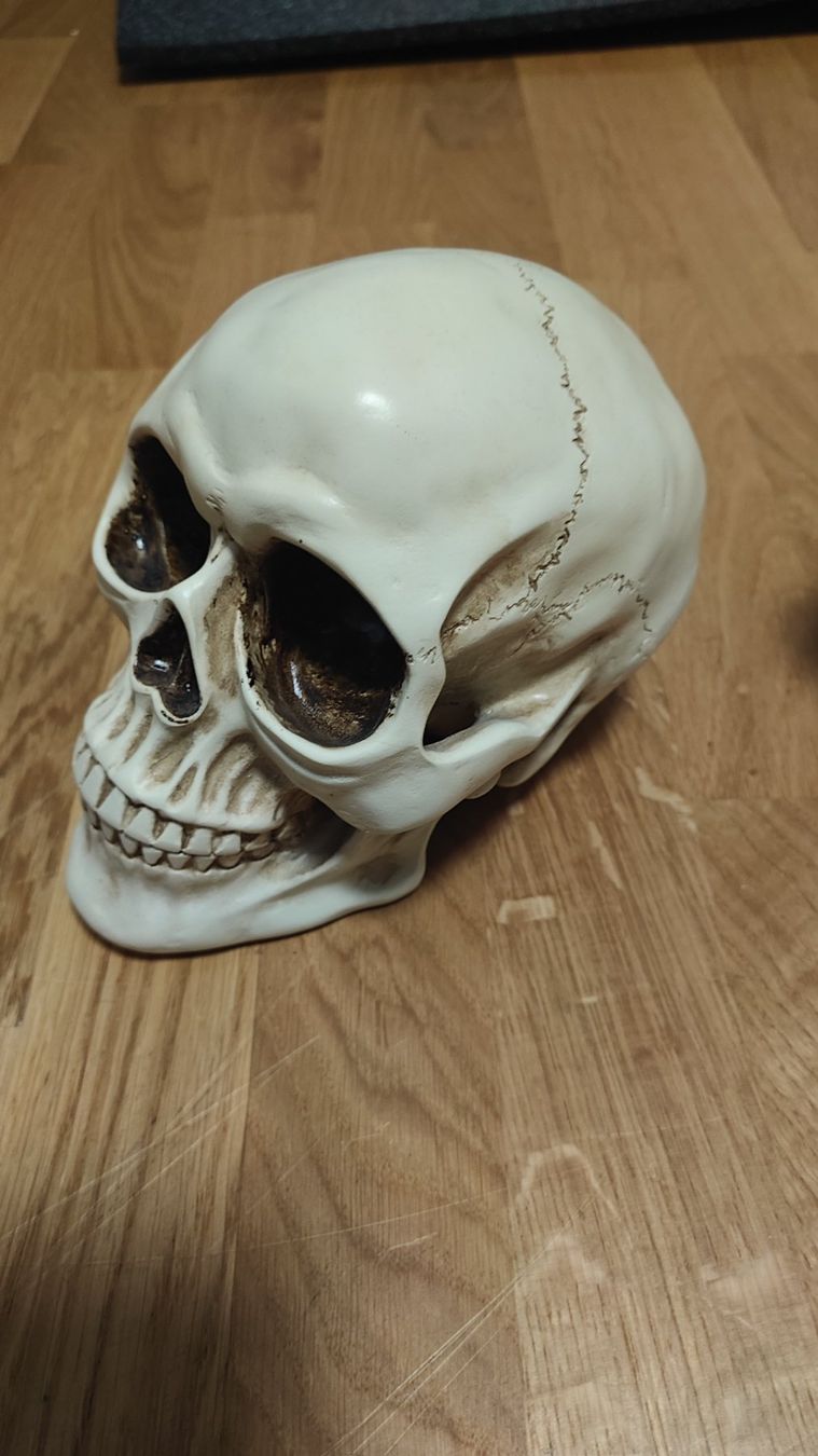 Tutte le decorazioni: Schädel Deko – Usato da Gümligen venduto da JohnnyOnyx 2