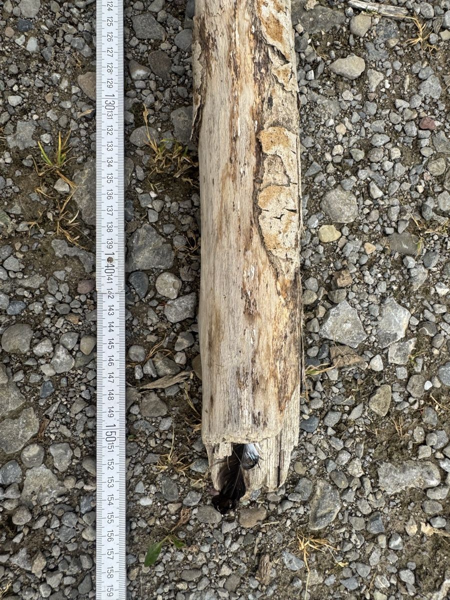 Articoli in legno: Schwemmholz – Usato da Schwellbrunn venduto da Magdalena888 3