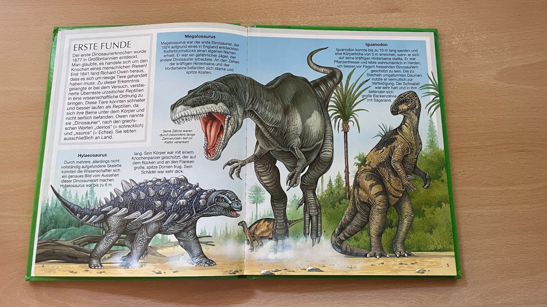 Libri: Dinosaurier – Usato da Glattfelden venduto da cybermaxx 4