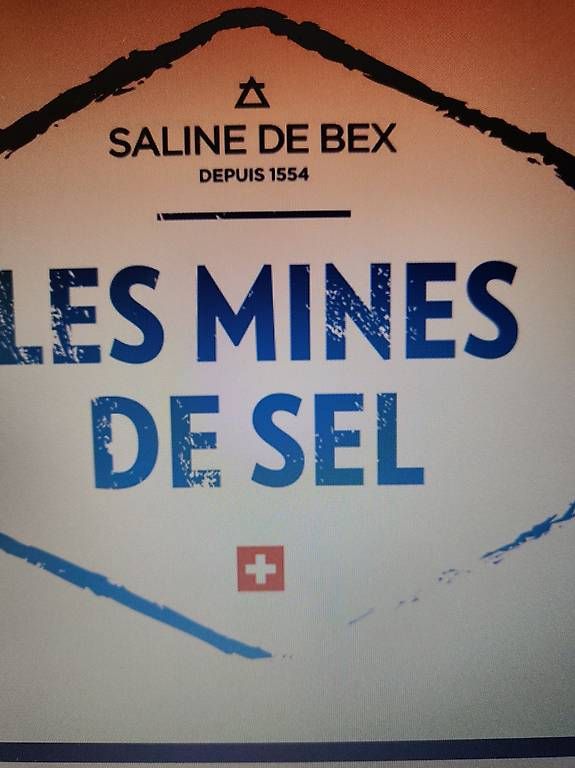Tickets: 2 billets Mines de sel Bex – Neu und originalverpackt aus Mathod von fan_jqp9