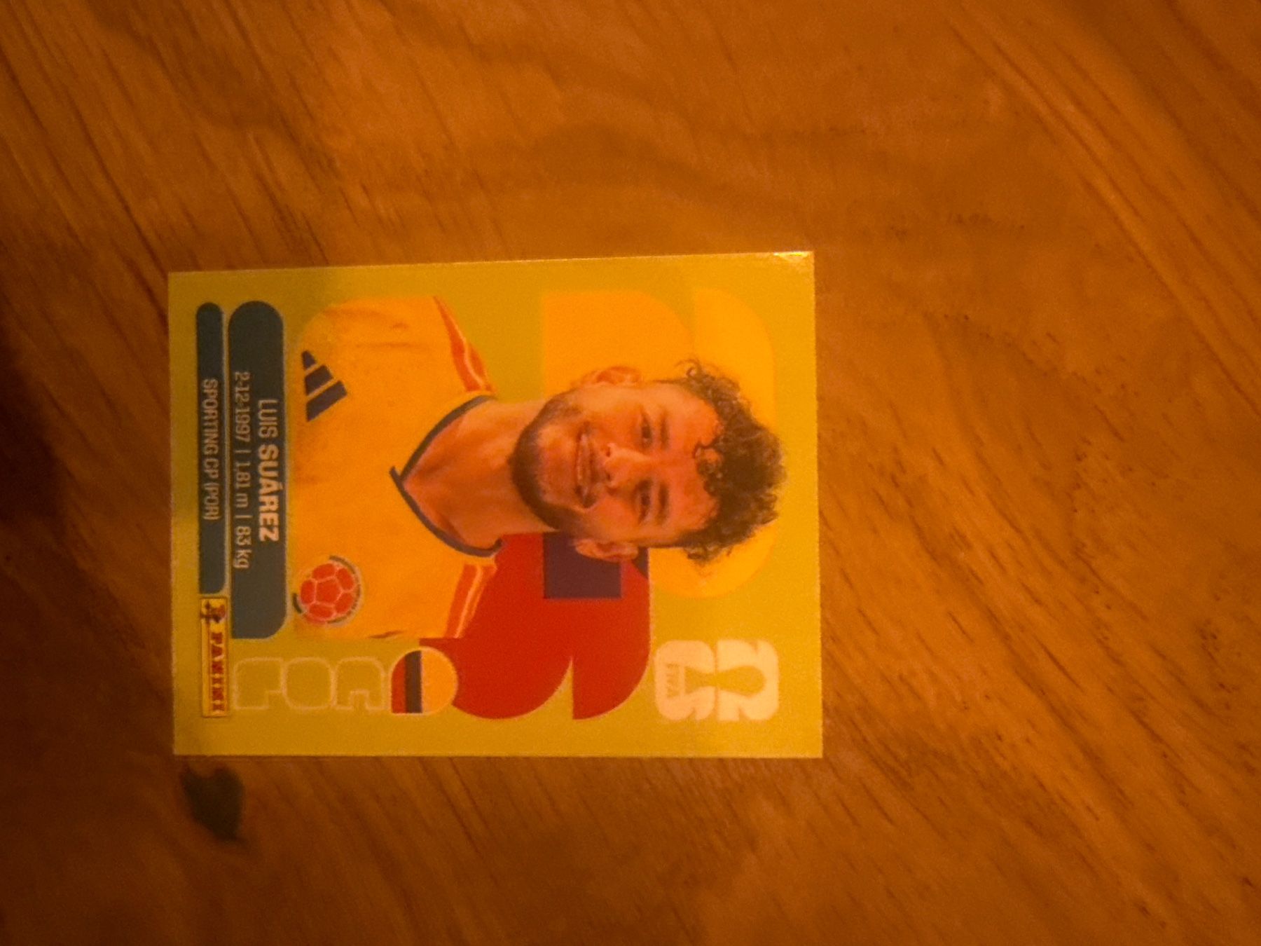 Panini Carte collezionabili: Panini – Usato da Langnau i. E. venduto da Acrjl