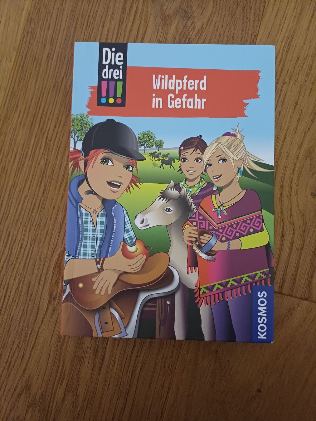 Libri: Die drei !!! Wildpferd in Gefahr – Nuovo (secondo la descrizione) da Wald ZH venduto da snowfunfor2
