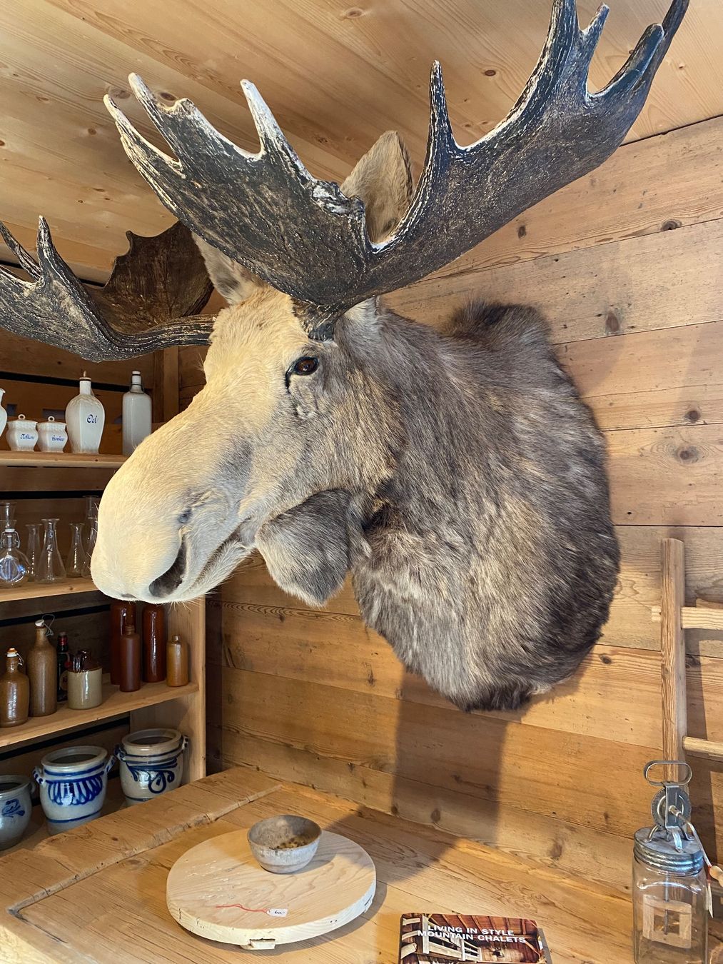 Il mondo degli animali: Elchkopf – Usato da Lenk im Simmental venduto da gwustu