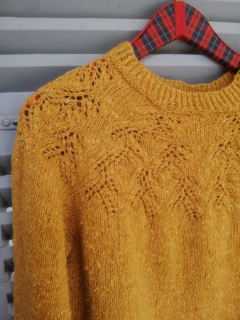 Pulli Golden Assam  NEU