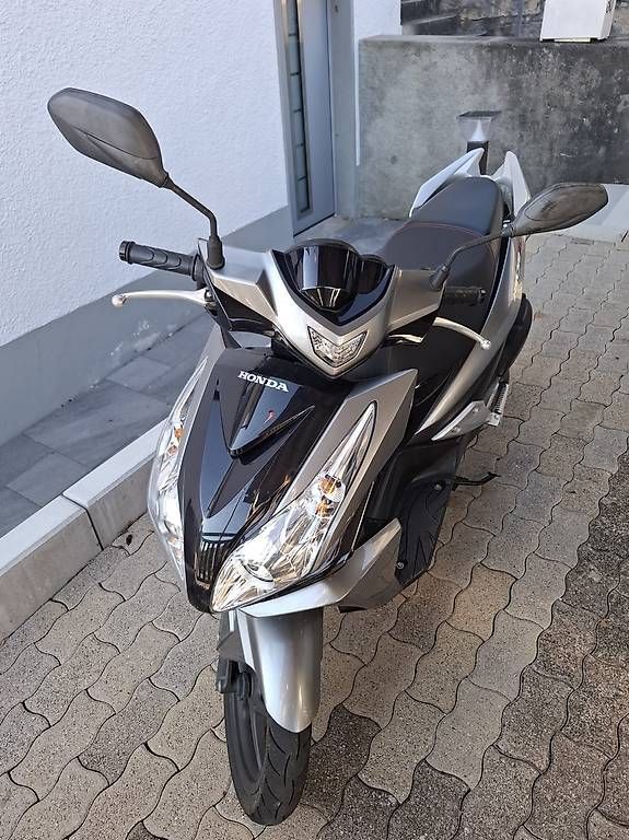 Honda Scooters: Roller Honda 50 ccm – Gebraucht aus Biberstein von zob_895c 2