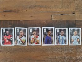 6 WM Cola Panini Sticker