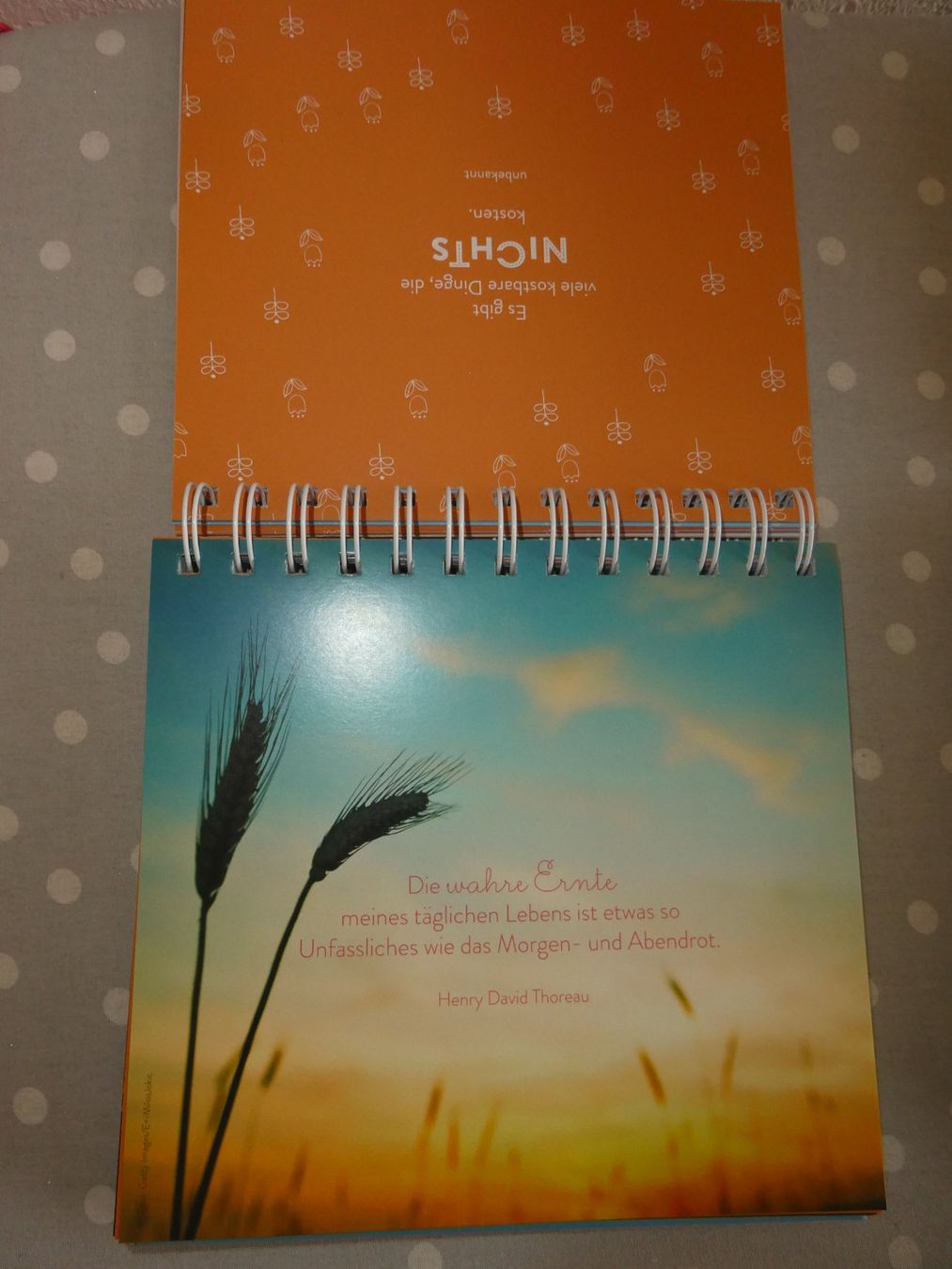 Calendari: Tischkalender "Lebensfreude" mit Sprüchen – Nuovo (secondo la descrizione) da Mels venduto da KOSL 2