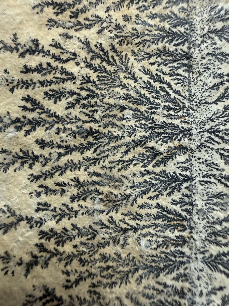 Minerali & Pietre curative: Manganoxid-Dendrit – Usato da Grenchen venduto da Bastet007 2
