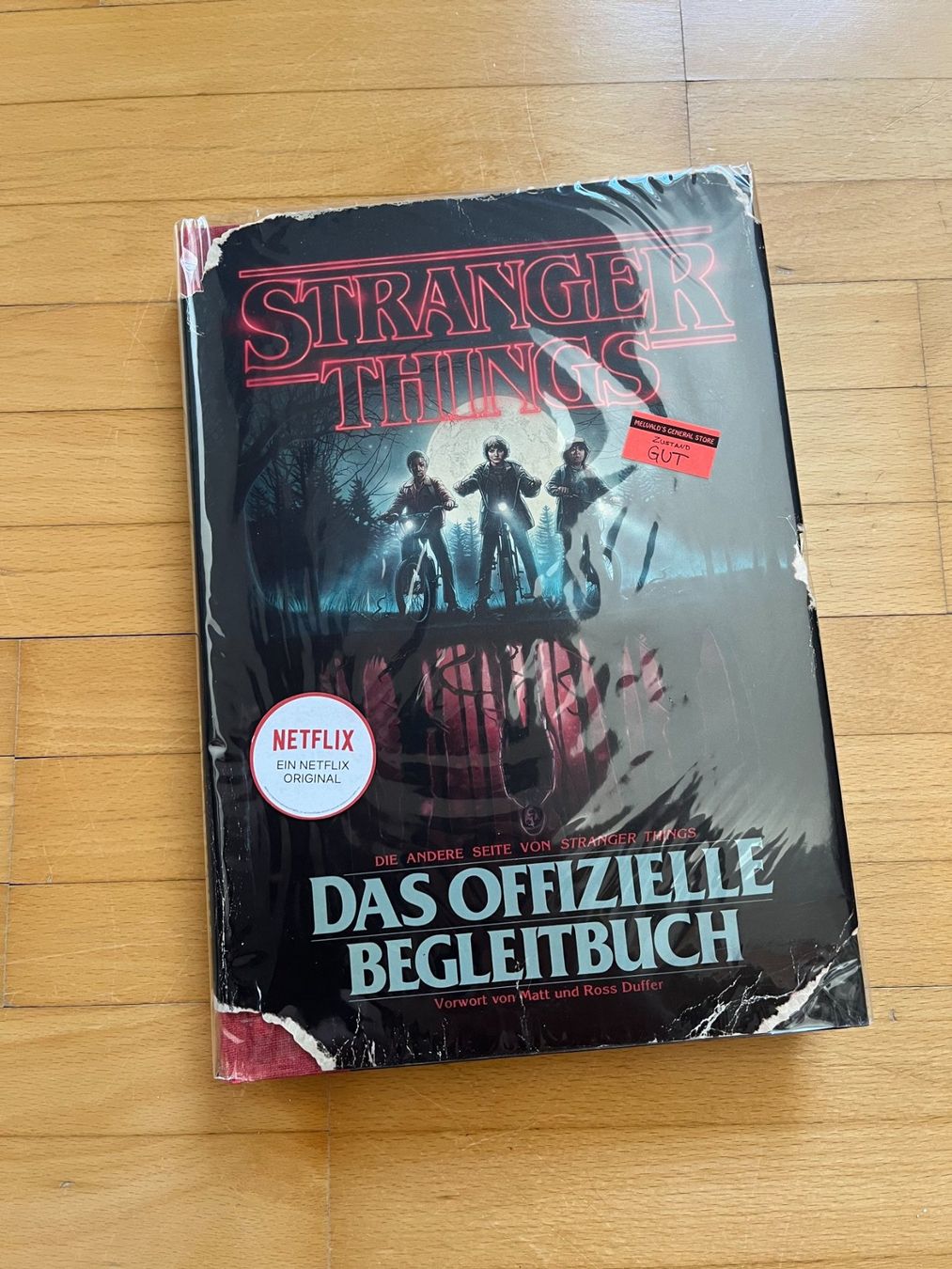 Libri: STRANGER THINGS: Das offizielle Begleitbuch, NETFLIX – Usato da Brugg AG venduto da Wavey