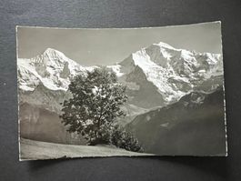 Postkarte Beatenberg Amisbühl 1957  (R921)