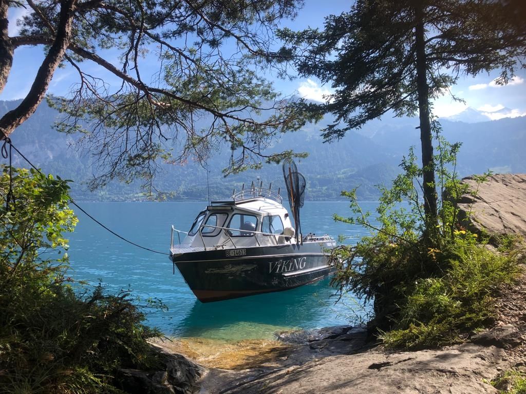 Bateaux: Viking Aluboot – D'occasion à Thun par M.Thun
