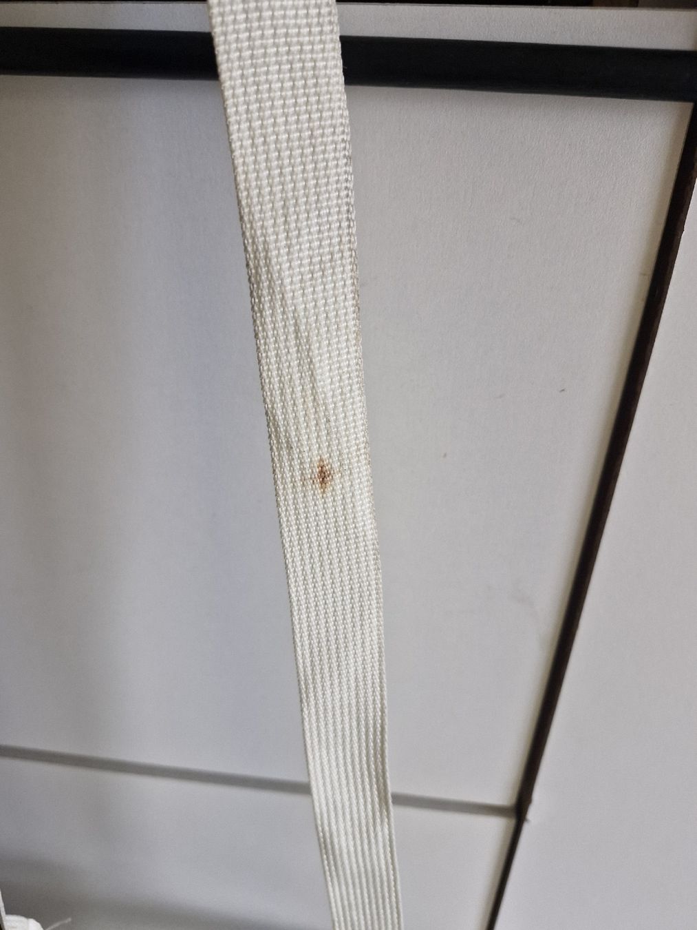 Cucce & Letti: Transport Tasche für Vogel – Usato da Hergiswil LU venduto da 88winu 2