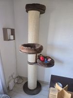 Kratzbaum mit drei Liegeflaechen braun guter Zustand